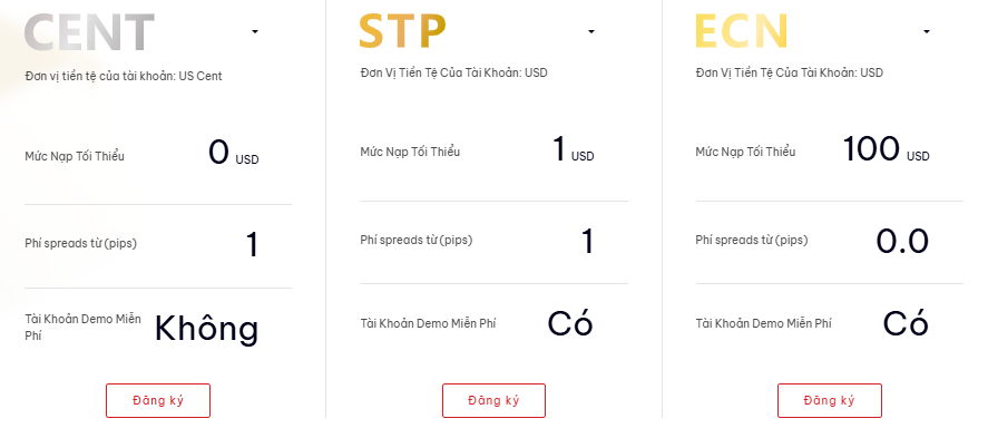 Các loại tài khoản Doo Prime