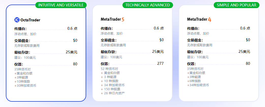 Octa账户类型